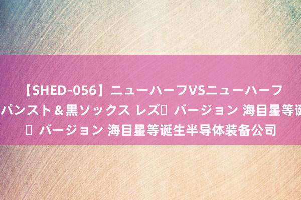 【SHED-056】ニューハーフVSニューハーフ 不純同性肛遊 3 黒パンスト＆黒ソックス レズ・バージョン 海目星等诞生半导体装备公司