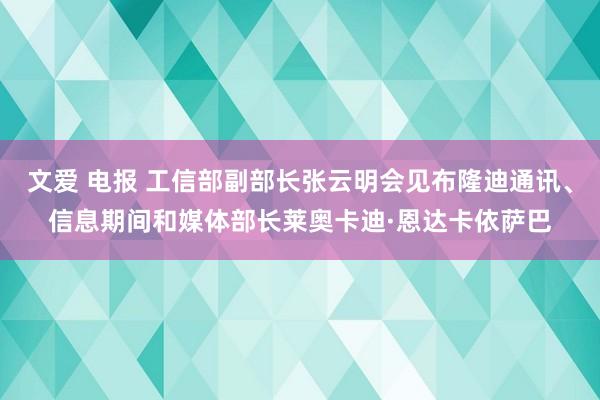 文爱 电报 工信部副部长张云明会见布隆迪通讯、信息期间和媒体部长莱奥卡迪·恩达卡依萨巴