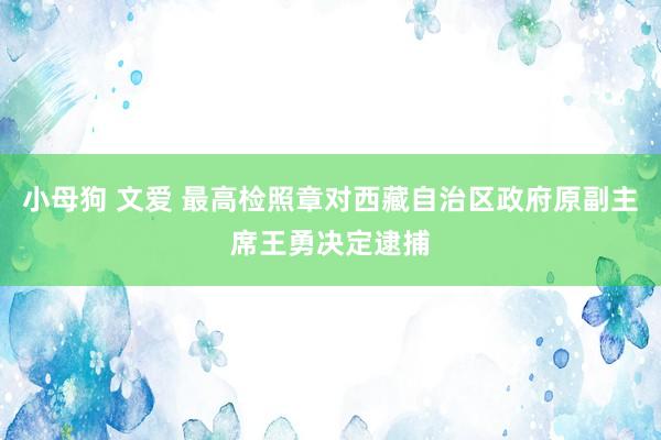 小母狗 文爱 最高检照章对西藏自治区政府原副主席王勇决定逮捕